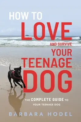 Hogyan szeressük és éljük túl a tizenéves kutyánkat? - How to Love and Survive Your Teenage Dog