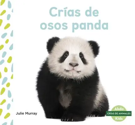 Cras de Osos Panda (Pandabocsik) - Cras de Osos Panda (Panda Cubs)