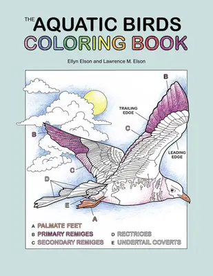A vízi madarak színezőkönyv - The Aquatic Birds Coloring Book