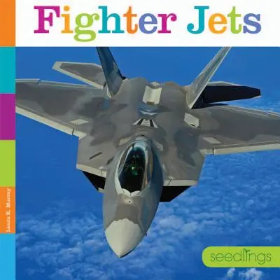 Vadászrepülőgépek - Fighter Jets