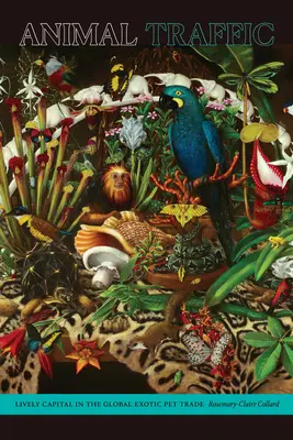 Állati forgalom: Élénk tőke az egzotikus állatok globális kereskedelmében - Animal Traffic: Lively Capital in the Global Exotic Pet Trade
