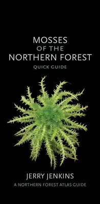 Az északi erdők mohái: Gyors útmutató - Mosses of the Northern Forest: Quick Guide