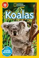 Koalák - Koalas