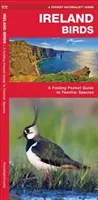 Írország Madarak, 2. kiadás - Egy összecsukható zsebkönyv az ismerős fajokról - Ireland Birds, 2nd Edition - A Folding Pocket Guide to Familiar Species