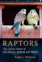 Raptorok: A nappali ragadozó madarak különös természete - Raptors: The Curious Nature of Diurnal Birds of Prey