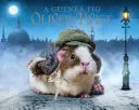 Twist Olivér tengerimalac - Guinea Pig Oliver Twist