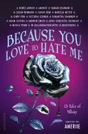 Protože mě rád nenávidíš - bestseller New York Times - Because You Love to Hate Me - New York Times Bestseller