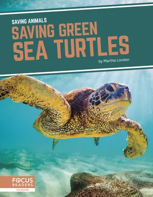 Zöld tengeri teknősök megmentése - Saving Green Sea Turtles