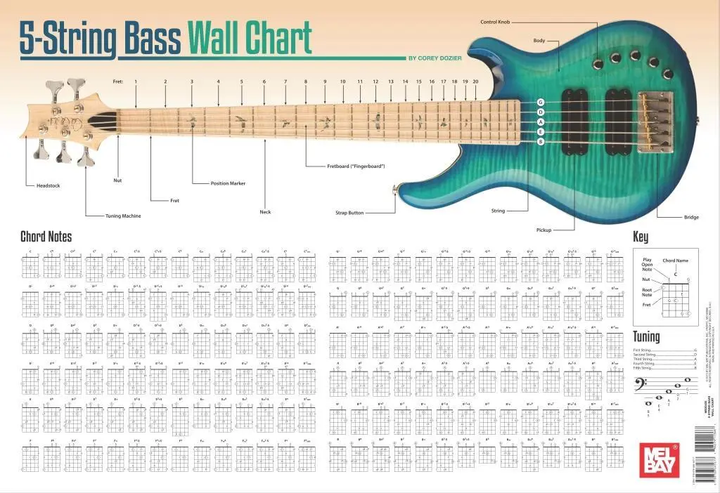 5-húros basszusgitár fali táblázat - 5-String Bass Wall Chart