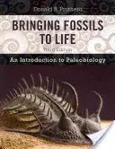 A kövületek életre keltése: Bevezetés a paleobiológiába - Bringing Fossils to Life: An Introduction to Paleobiology