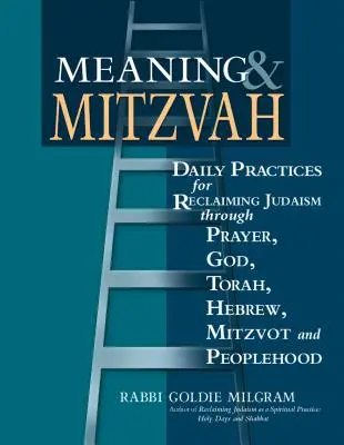 Jelentés és mitzvah: Mindennapi gyakorlatok a zsidóság visszaszerzéséhez az ima, Isten, Tóra, héber, micvók és a népiség által - Meaning & Mitzvah: Daily Practices for Reclaiming Judaism Through Prayer, God, Torah, Hebrew, Mitzvot and Peoplehood