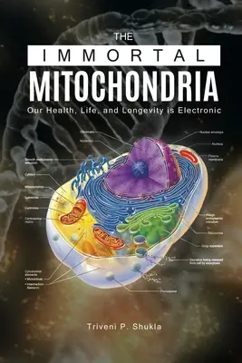 A halhatatlan mitokondriumok: Egészségünk, életünk és hosszú életünk elektronikus - The Immortal Mitochondria: Our Health, Life, and Longevity is Electronic