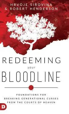 A vérvonalad megváltása: A nemzedéki átkok megtörésének alapjai a mennyei bíróságoktól - Redeeming Your Bloodline: Foundations for Breaking Generational Curses from the Courts of Heaven