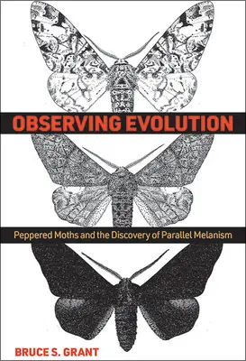 Az evolúció megfigyelése: A borsos lepkék és a párhuzamos melanizmus felfedezése - Observing Evolution: Peppered Moths and the Discovery of Parallel Melanism