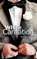 Fehér szegfű - White Carnation