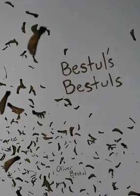 Bestul Bestuls - Bestul's Bestuls