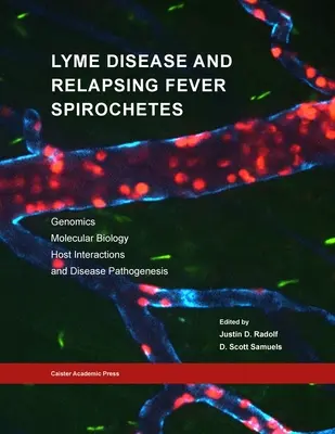 Lyme-kór és visszaeső láz Spirocheták: Genomika, molekuláris biológia, gazdakapcsolatok és a betegségek patogenezise - Lyme Disease and Relapsing Fever Spirochetes: Genomics, Molecular Biology, Host Interactions and Disease Pathogenesis