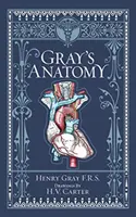 Gray anatómiája (Barnes & Noble Collectible Classics: Omnibus Edition) - Gray's Anatomy (Barnes & Noble Collectible Classics: Omnibus Edition)