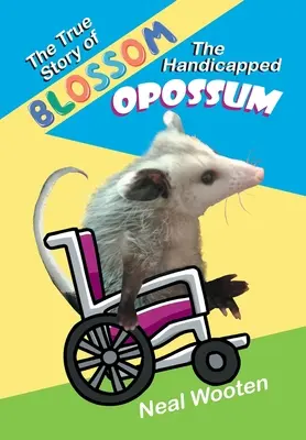 Blossom, a mozgássérült oposszum igaz története - The True Story of Blossom the Handicapped Opossum