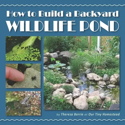 Hogyan építsünk egy háztáji vadon élő tavacskát? - How to Build a Backyard Wildlife Pond