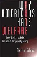 Miért utálják az amerikaiak a jólétet: Race, Media, and the Politics of Antipoverty Policy (Faj, média és a politika a szegénység elleni politika) - Why Americans Hate Welfare: Race, Media, and the Politics of Antipoverty Policy