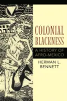 Gyarmati feketeség: Afro-Mexikó története - Colonial Blackness: A History of Afro-Mexico