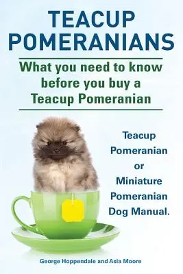 Teacup pomerániaiak. Miniatűr pomerániai vagy teacup pomerániai kutya kézikönyv. Amit tudnia kell, mielőtt teacup pomerániai kutyát vásárol. - Teacup Pomeranians. Miniature Pomeranian or Teacup Pomeranian Dog Manual. What You Need to Know Before You Buy a Teacup Pomeranian.