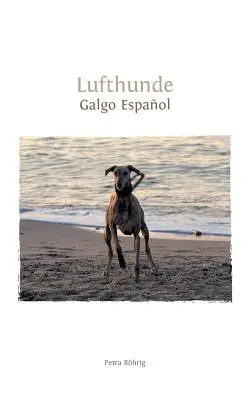 Lufthunde: Galgo Espaol