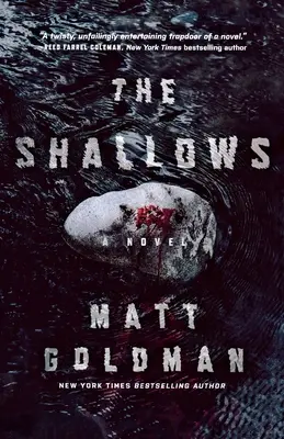 The Shallows: Nils Shapiro regénye - The Shallows: A Nils Shapiro Novel