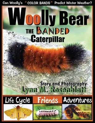 Gyapjas mackó a szalaghernyó: Életciklus, barátok és kalandok - Woolly Bear the Banded Caterpillar: Life Cycle, Friends and Adventures