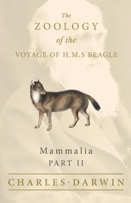 Emlősök - II. rész - A H.M.S. Beagle útjának zoológiája. - Mammalia - Part II - The Zoology of the Voyage of H.M.S Beagle