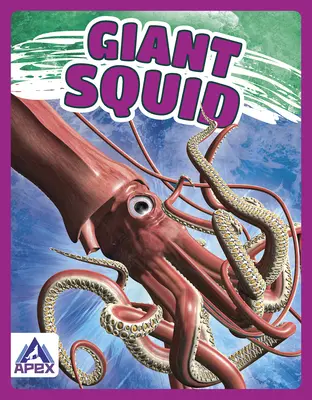 Óriás tintahal - Giant Squid