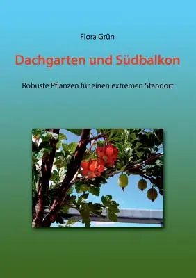 Dachgarten und Sdbalkon: Robuste Pflanzen fr einen extremen Standort