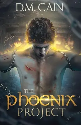 A Főnix-projekt - The Phoenix Project