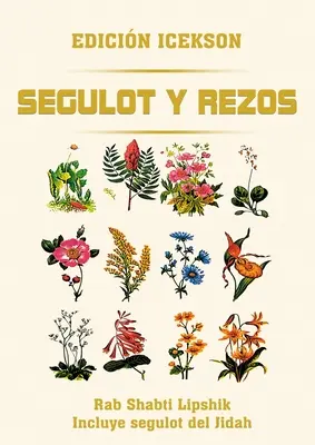 Segulot y Rezos