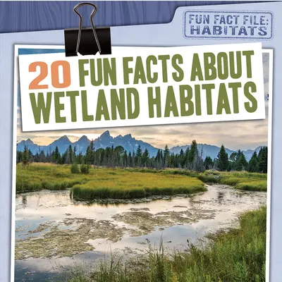 20 szórakoztató tény a vizes élőhelyekről - 20 Fun Facts about Wetland Habitats