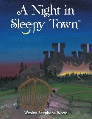 Egy éjszaka álmos városban - A Night in Sleepy Town