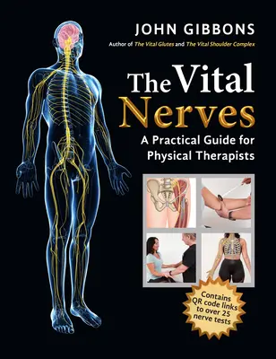 A létfontosságú idegek: Gyakorlati útmutató fizikoterapeuták számára - The Vital Nerves: A Practical Guide for Physical Therapists