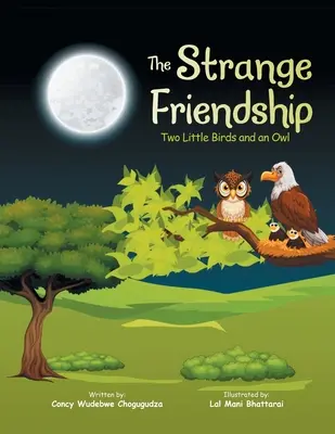 A különös barátság: Két kismadár és egy bagoly - The Strange Friendship: Two Little Birds and an Owl