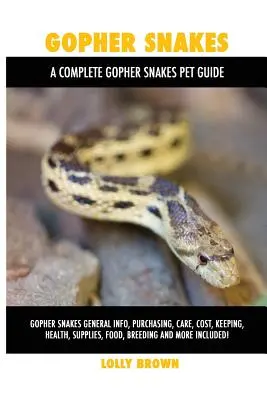 Gopher Snakes: Gopher kígyók Általános információk, beszerzés, gondozás, költségek, tartás, egészség, kellékek, táplálék, tenyésztés és még sok más! A Com - Gopher Snakes: Gopher Snakes General Info, Purchasing, Care, Cost, Keeping, Health, Supplies, Food, Breeding and More Included! A Com