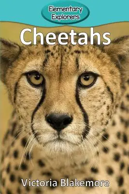 Gepárdok - Cheetahs