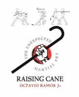 Raising Cane - A váratlan harcművészet - Raising Cane - The Unexpected Martial Art