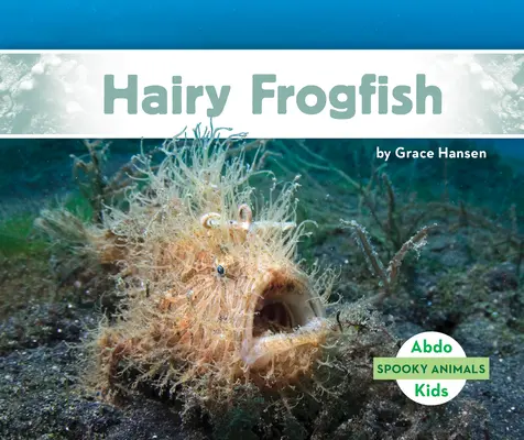 Szőrös békahal - Hairy Frogfish