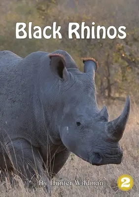 Fekete orrszarvúak - Black Rhinos