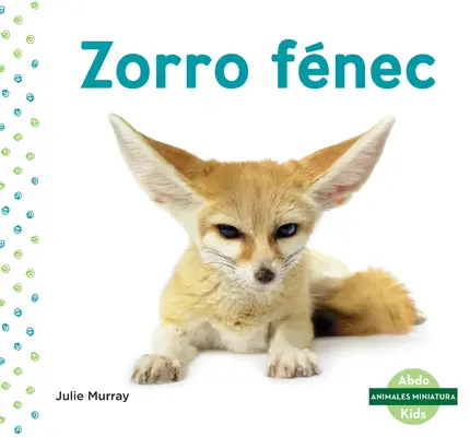 Zorro Fnec (Fennec róka) - Zorro Fnec (Fennec Fox)