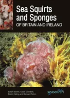 Nagy-Britannia és Írország tengeri tintahalai és tengeri szivacsai - Sea Squirts and Sea Sponges of Britain and Ireland