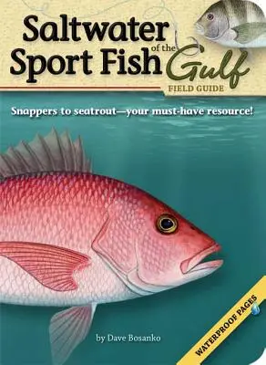 Az öböl sósvízi sporthalai - terepikalauz - Saltwater Sport Fish of the Gulf Field Guide