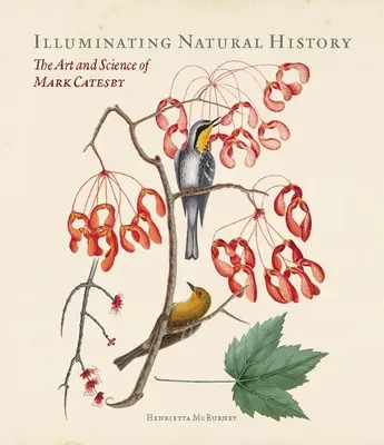 A természettörténet megvilágítása: Mark Catesby művészete és tudománya - Illuminating Natural History: The Art and Science of Mark Catesby