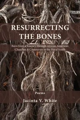 A csontok feltámasztása: A vidéki Dél afroamerikai templomai és temetői közötti utazásból született. - Resurrecting the Bones: Born from a Journey through African American Churches & Cemeteries in the Rural South