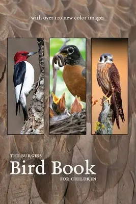 A Burgess Madárkönyv új színes képekkel - The Burgess Bird Book with new color images